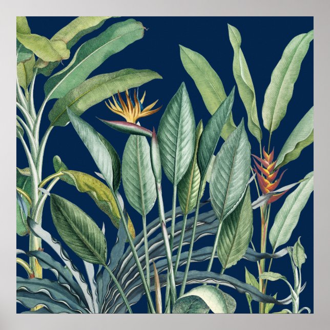 Affiche Green Tropical Jungle Banana Tree Strelitzia (Devant)