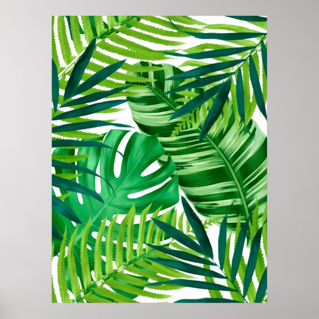 Affiche Green Tropical Leaves  (Devant)