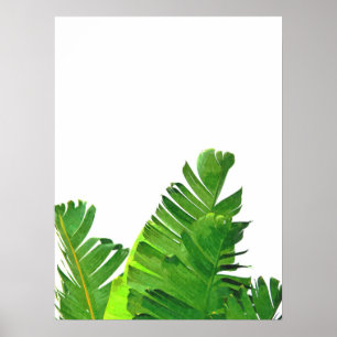 Affiche Green Tropical Palm Banana Feuilles