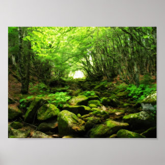 Affiche Green Tunnel