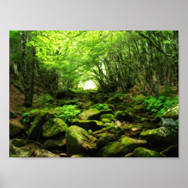 Affiche Green Tunnel (Devant)