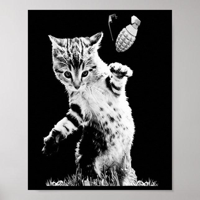 Affiche Grenade à lancer de chat Drôle Kitty Grenade de ch (Devant)