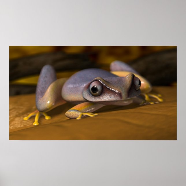 Affiche Grenouille (Devant)