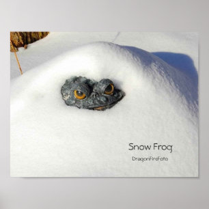 Affiche Grenouille à neige