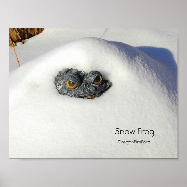 Affiche Grenouille à neige (Devant)