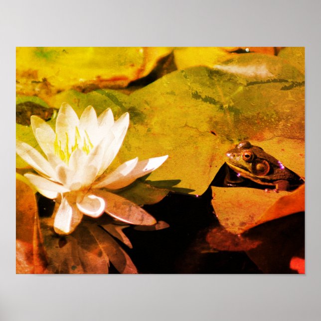 Affiche Grenouille Admirant L'Eau Lily Grunge Abstrait (Devant)