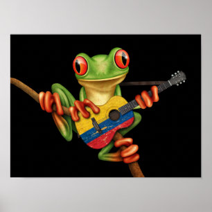 Affiche Grenouille Arbre Jouer Drapeau Colombien Guitare N