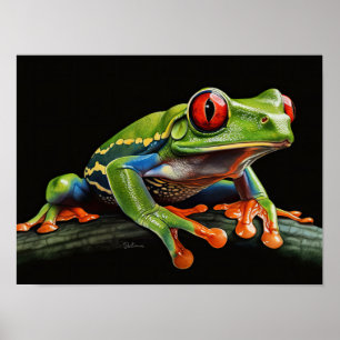 Affiche Grenouille aux yeux rouges