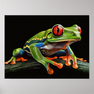 Affiche Grenouille aux yeux rouges