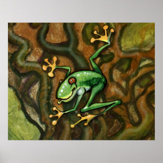 Affiche Grenouille des arbres