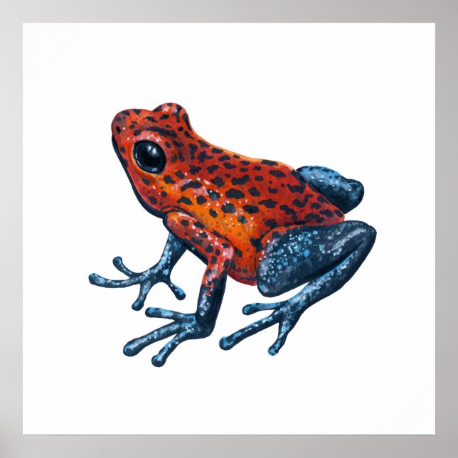 Affiche Grenouille empoisonnée fraise (Devant)