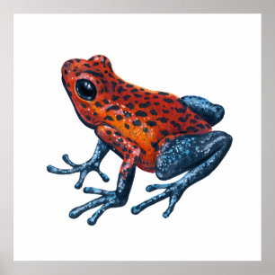 Affiche Grenouille empoisonnée fraise