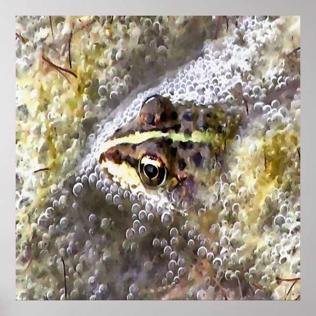 Affiche Grenouille plongée dans des bulles d'eau et des mo (Devant)