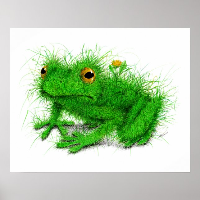 Affiche Grenouille "réelle" - Dessin (Devant)