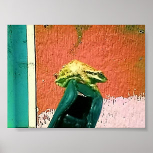 Affiche Grenouille sur un boîtier de téléphone portable