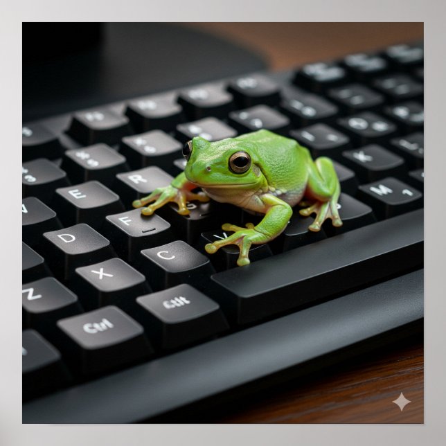 Affiche Grenouille sur un clavier d'ordinateur (Devant)