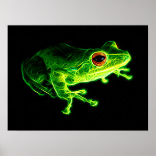 Affiche Grenouille verte