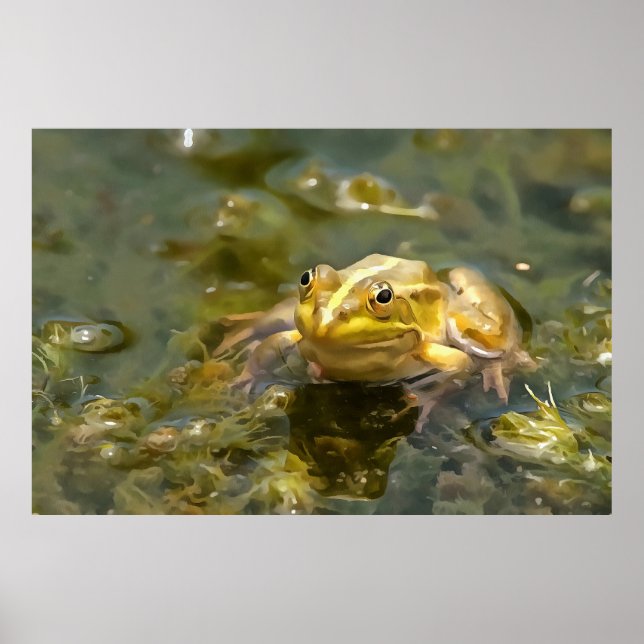Affiche Grenouille Verte Dans La Peinture Acrylique À Eau  (Devant)