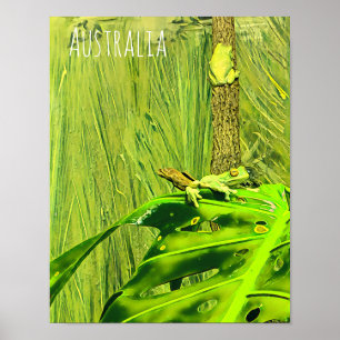 Affiche Grenouille verte Grenouille australienne