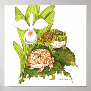 Affiche Grenouilles à cornes fleuries