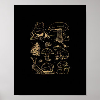 Affiche Grenouilles Et Champignons Dessin Vintage – Aesthe
