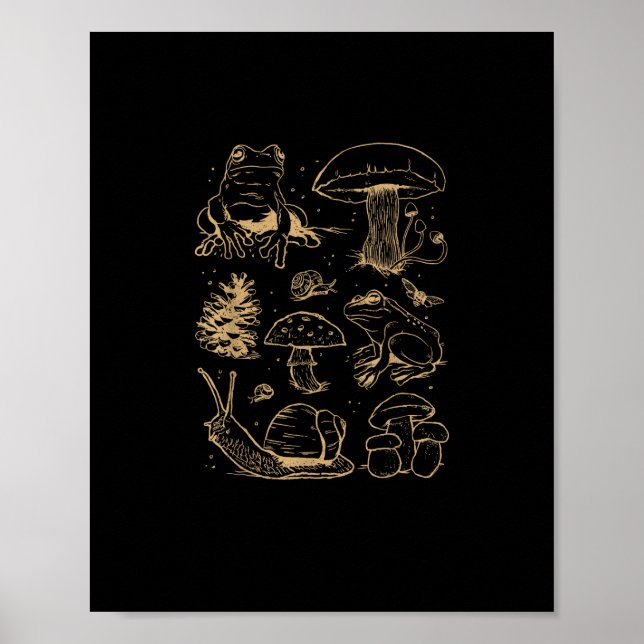 Affiche Grenouilles Et Champignons Dessin Vintage – Aesthe (Devant)