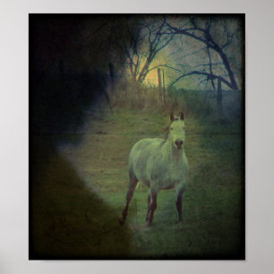 Affiche Grey Gallop Grunge