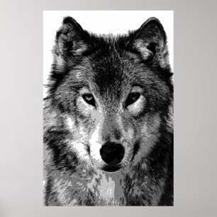 Affiche Grey Wolf Imprimer