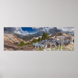 Affiche Grey Wolves Family Journey