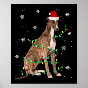 Affiche greyhound christmas light cute santa greyhound