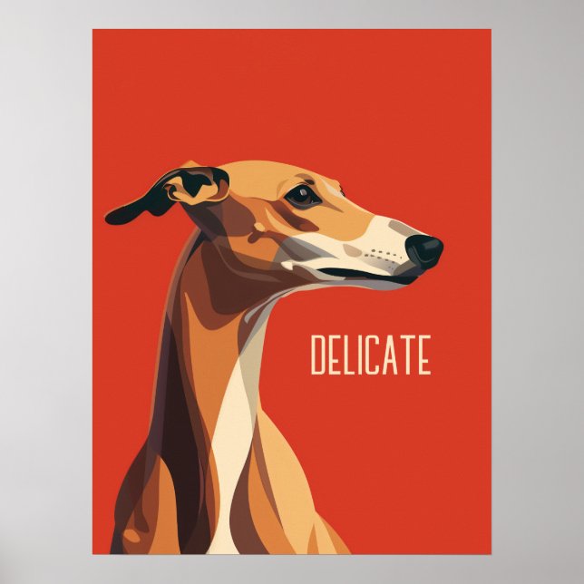 Affiche Greyhound Delicate Brown (Devant)