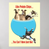 Greyhounds comme chips de pommes de terre