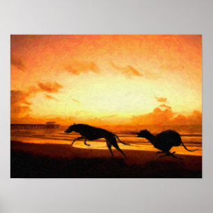 Affiche Greyhounds on Beach