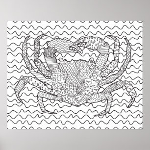 Affiche Griffonnage détaillé 2 de crabe de mer