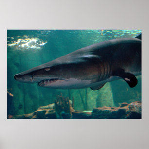 Affiche Grimace de Toofy Li'l