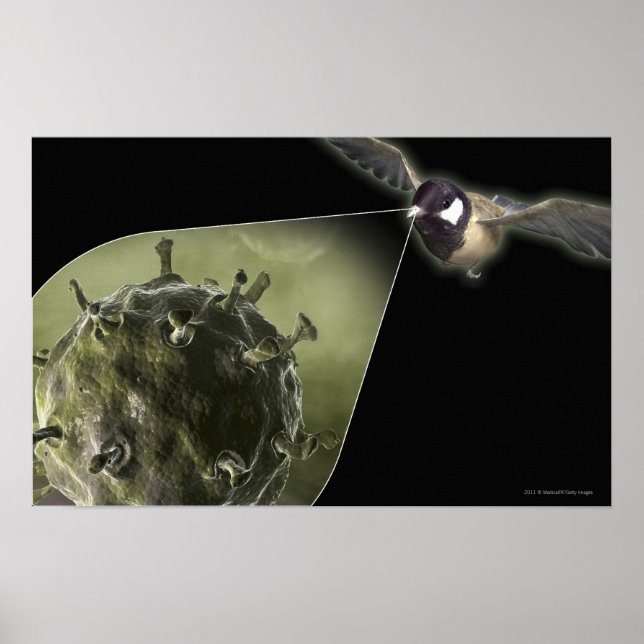 Affiche Grippe aviaire qui sort de l'oiseau (Devant)