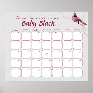 Affiche Gris Cardinal Bird Baby shower Devinez La Date D'É