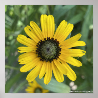 Affiche gris foraday Floral Jaune Imprimer