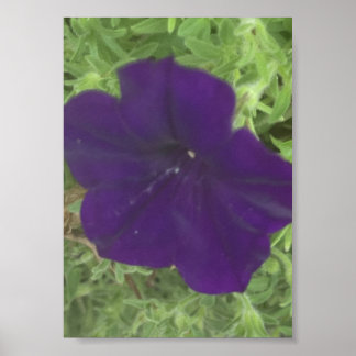 Affiche gris pour aujourd'hui Imprimé floral bleu