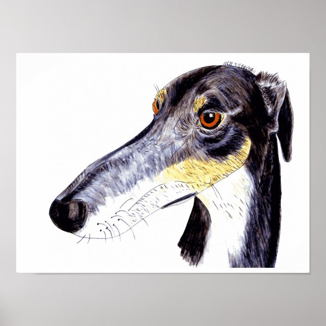 Affiche grisonnante de lurcher (Devant)