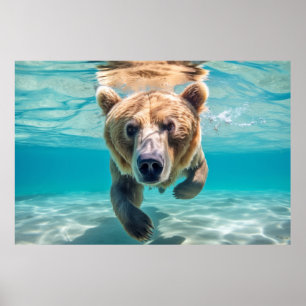 Affiche Grizzly Oear Animal Amusement Nature Jouer