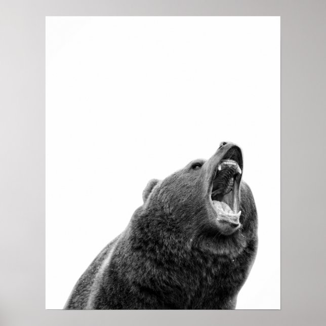 Affiche Grizzly Oear Noir Blanc moderne (Devant)