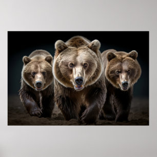 Affiche Grizzly Oear Wild Animal Portrait Fierce Power