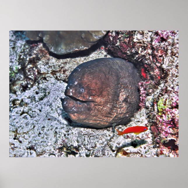 Affiche Gros ange (Devant)