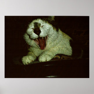 Affiche Gros bébé Bud