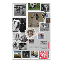 Gros Chiot de Danse à vendre