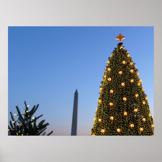 Affiche Gros et petits arbres de Noël II Vacances à DC (Devant)