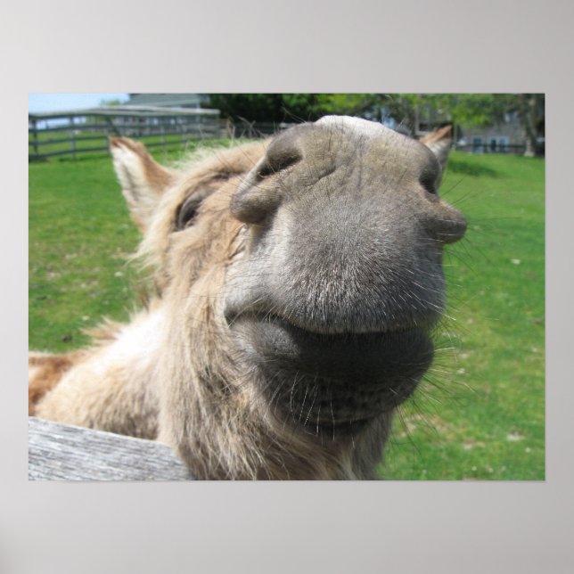 Affiche Gros plan (Devant)