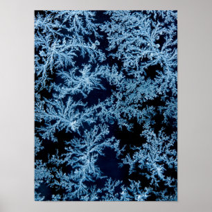 Affiche Gros plan des motifs de givre, Californie