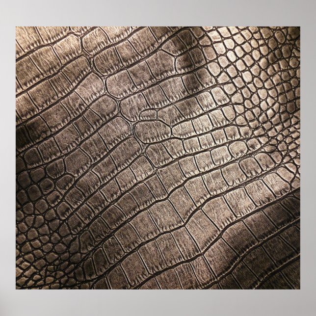 Affiche Gros plan en cuir élégant : Motif texturé (Devant)
